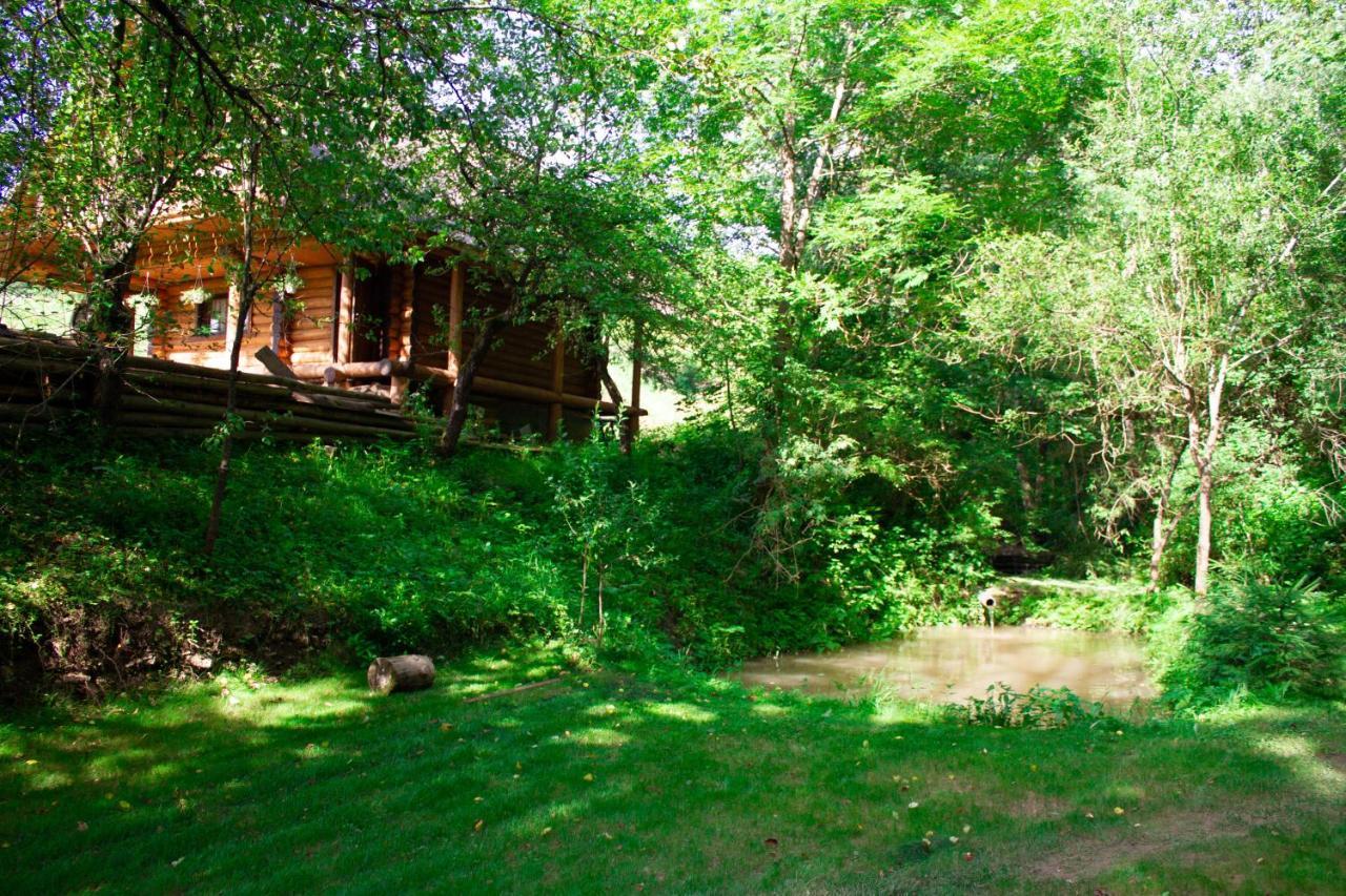 Тихий Куточок Villa Izki Bagian luar foto